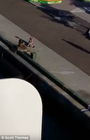 The mother and her husband were left on land when the Norwegian Breakaway set off