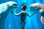 White whales and their trainers present a show for visitors at Harbin Pole Aquarium on January 7, 2014 in Harbin, China. 