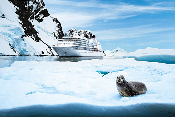 seal