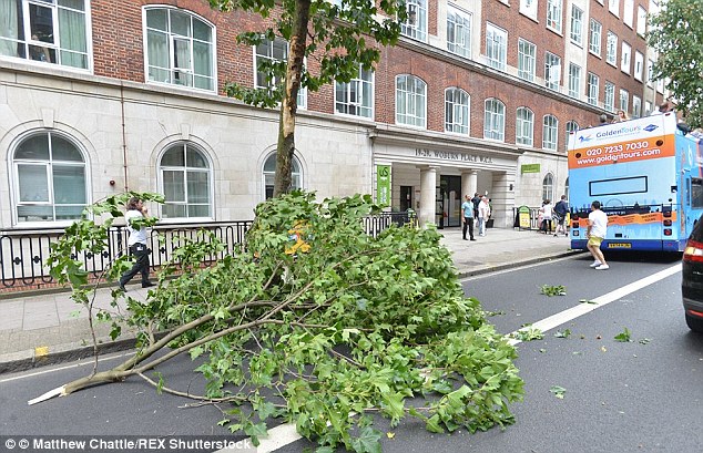 The impact - which was described as 'like a bomb going off' - left a large branch in the road, near to Russell Square tube station, along with debris and shattered windows from the bus