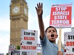 epa04331676 A young Palestinian protests with thousands of pro-Palestinian demonstrators outside parliament in London, Britain, 26 July 2014. At least 1,030 Palestinians have died in 19 days of fighting, medics in the Gaza Strip say, after corpses are pulled from the rubble during a humanitarian ceasefire. Israel's army says three soldiers died in overnight fighting, bringing the total number of casualties on the Israeli side to 40, including three civilians.  EPA/ANDY RAIN