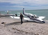 Fatal crash: The 1972 Piper Cherokee made an emergency landing on Caspersen Beach in Venice and struck a father and his daughter - killing the man and critically injuring the girl