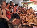 Controversial: The dog meat festival in Yulin, China, often attracts protests from animal rights activists
