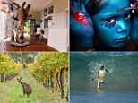 A munching giraffe to a squiffy kangaroo... the top entries to National Geographic so far