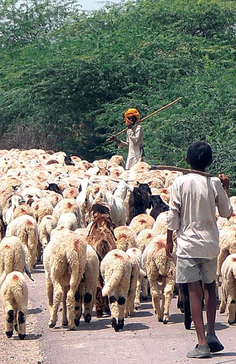 The couple used the UNESCO Heritage Site list as a way to plan their route