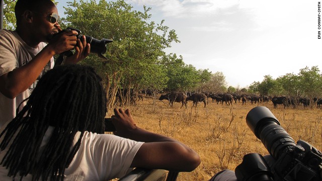 A herd of several hundred Cape buffaloes, one of Africa's Big 5 animals, are spotted at Botswana's Chobe National Park.
