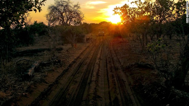Heading into Chobe National Park at sunrise, a smooth and silent ride on the electric Land Rover.