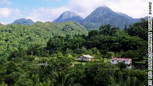 Paradise road.