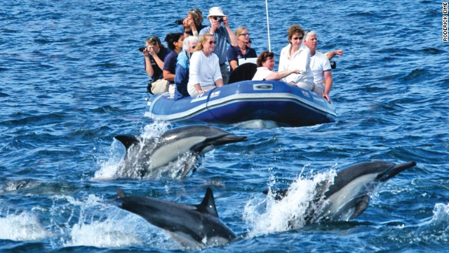Over at Big Island adventurous vacationers can get aboard the Safari Explorer with just 36 others and, in between kayaking and dolphin spotting, engage in a mesmerizing ballet with manta rays. 