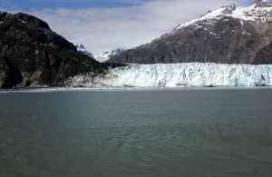 IMG_0387.jpg