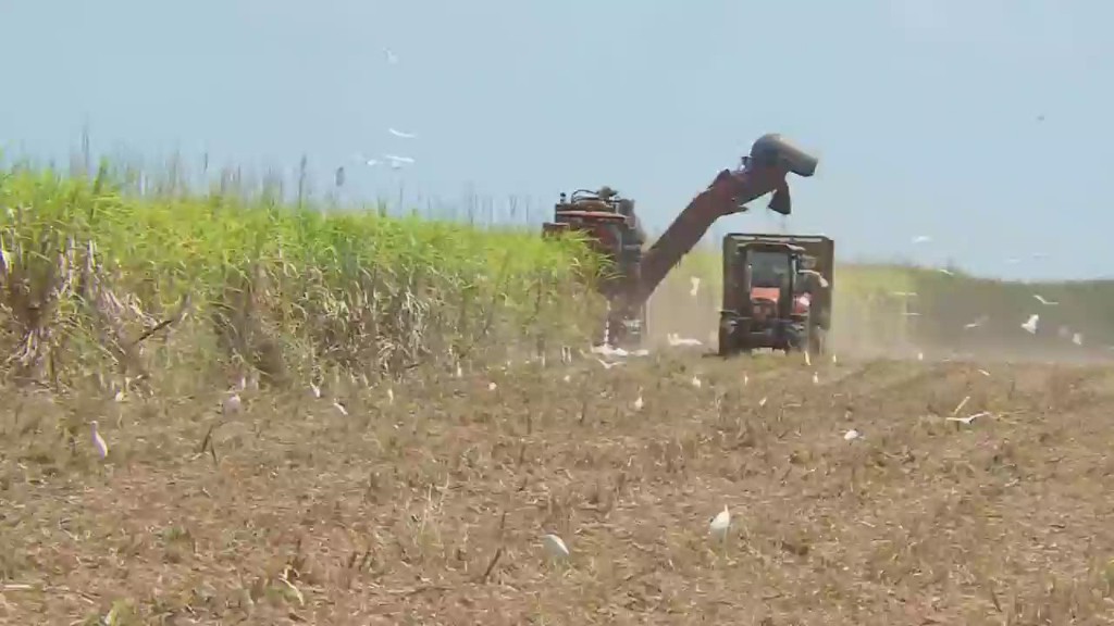 Can American money save Cuban sugar?