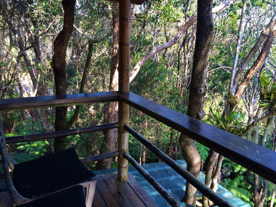 The tree houses lanai. Photo: Jeanne Cooper