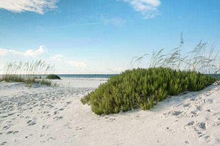 rosemary-beach-florida.jpg
