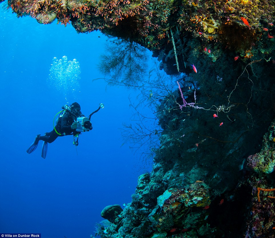  If you wish to hone your diving skills, Padi certified instructors are on hand to help you explore the Guanaja reef