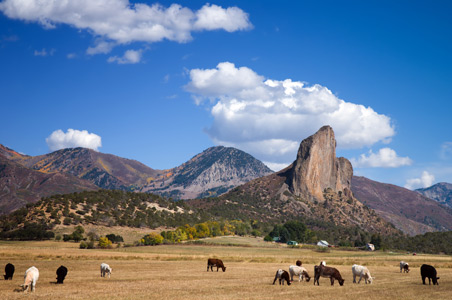 needle-rock-crawford-colorado.jpg