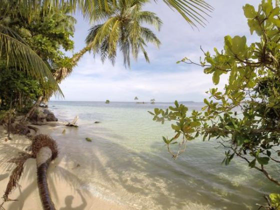  Life is easy on the islands of Bocas del Toro on the Caribbean side of Panama. The Zapatillas Cays are especially secluded. 